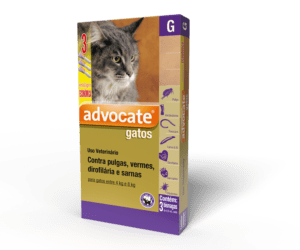 Advocate_Gatos_4a8kg_Econ